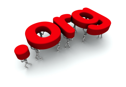Nonprofit Compensation Associates